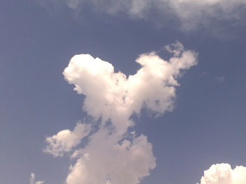 Love is in the air ! Literally !! - бесплатный image #308433
