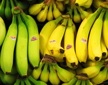 Yes, I Have No Bananas - image #309533 gratis