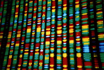 DNA representation - image gratuit #309563 