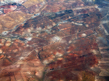 Newly planted olive groves south east of Madrid - Free image #309623