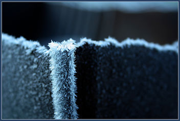 frost - Kostenloses image #310343