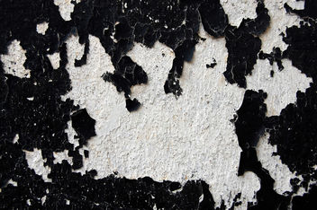 Black paint and white texture - Kostenloses image #313443