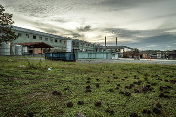 Abandoned Paper Mill - Free image #319443