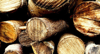 Wood in colour ~ pic of the day # texture #dailyshoot - Free image #323233