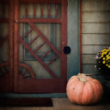 Still Life with Pumpkin - Free image #324433