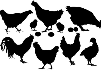 Chicken silhouette vector - Kostenloses vector #328933