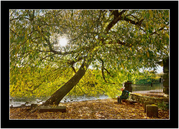 Autumn Rest, Original - Free image #329003