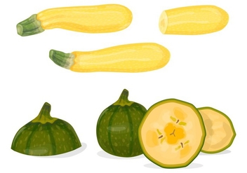 Green and yellow zucchini vectors - Free vector #332653