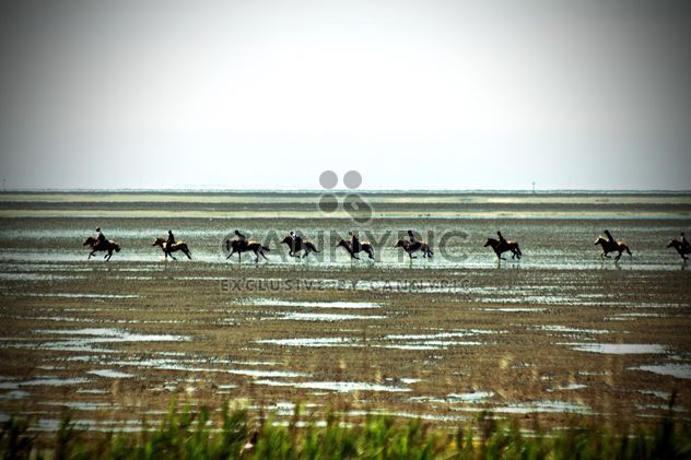 Horse riders running afar - image #332933 gratis