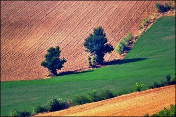 View on Monferrato village in Piemonte - image #334753 gratis