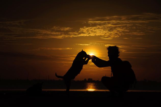 Man and dog at sunset - бесплатный image #338593