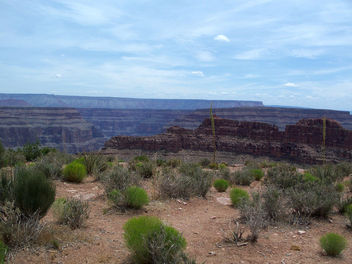 USA (Grand Canyon, AZ) Desert plants and magnificient canyon landscape - бесплатный image #341223