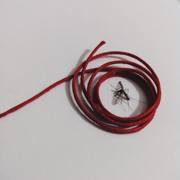 red rope around Mosquito - image #343913 gratis