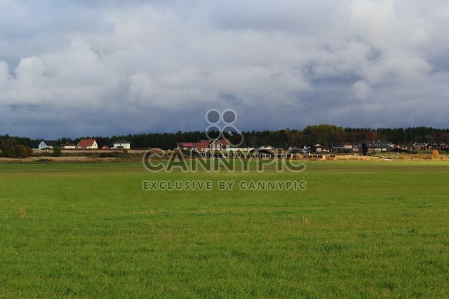 Field at countryside - бесплатный image #344183