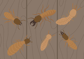 Termite Vectors - vector gratuit #344773 