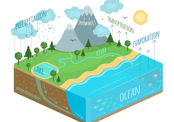 Water cycle - Free vector #344783