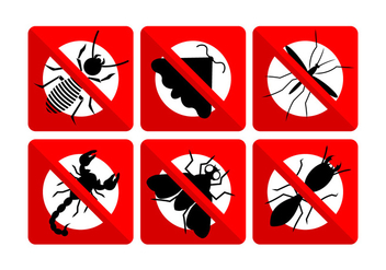 Vector Set of Insects - Free vector #345533