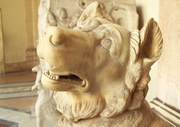 Head of animal in museum, Vatican, Italy - бесплатный image #346183