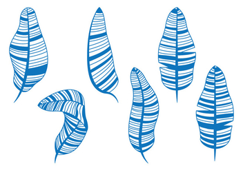 Banana Leaf Illustration - бесплатный vector #346303