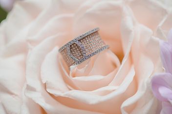 Closeup of beautiful ring on rose - бесплатный image #346603
