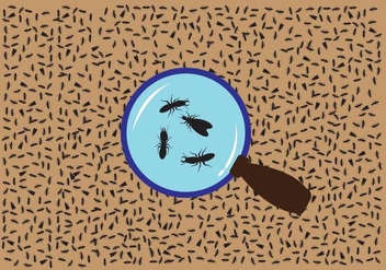 Termite Magnifying Glass Vector - Free vector #348213
