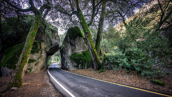 Yosemite Valley National Park - California, United States - Landscape photography - Kostenloses image #351143