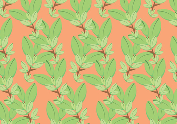 Free Thyme Vector Pattern #2 - vector gratuit #354343 