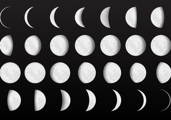 Complete Moon Phase Vectors - Free vector #359053