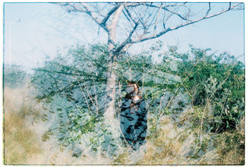 Film #swap with Amy Chu - Kostenloses image #361463