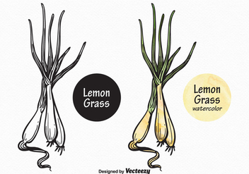 Free Vector Lemon Grass - Kostenloses vector #372463