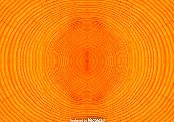 Tree Rings Background / Vector Tree Trunk Background - Kostenloses vector #375513