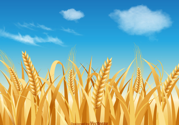 Free Wheat Stalk Vector Landscape - бесплатный vector #377783