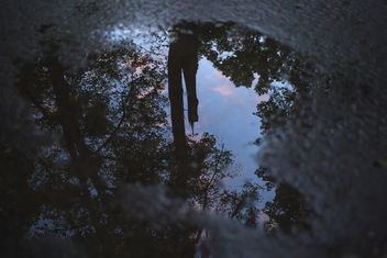 Reflection in the puddle - image gratuit #380993 