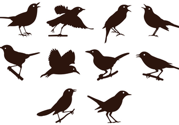 Nightingale Silhouettes Vector - Free vector #384043