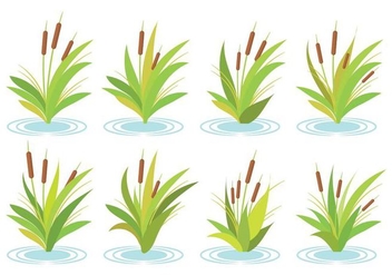 Free Cattails Vector - Free vector #385453