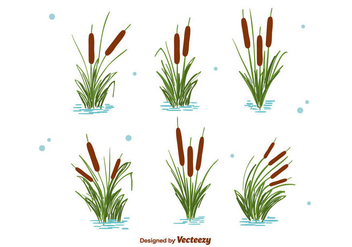 Cattails Set Vector - Free vector #386663