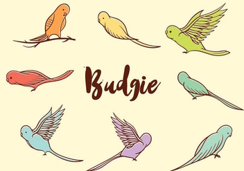 Free Budgie Vector - Free vector #386723