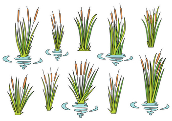 Free Cattails Icons - vector #387323 gratis