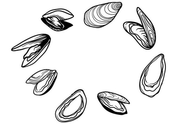 Free Hand Drawn Mussel Vector - Free vector #393073
