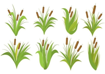 Free Cattails Vector Set - Free vector #393133