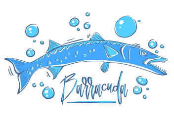 Free Barracuda Fish - vector gratuit #395463 