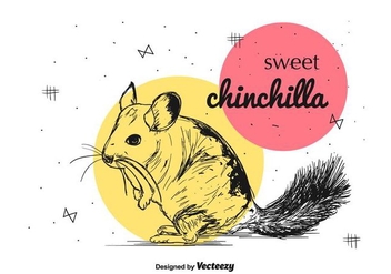 Sweet Chinchilla Vector - vector #397383 gratis