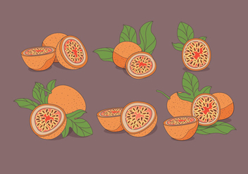 Passion Fruit Vector - Free vector #397453