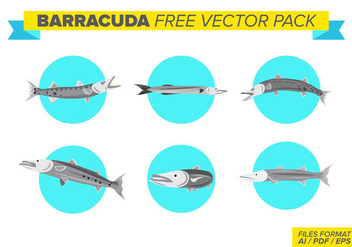 Barracuda Free Vector Pack - Kostenloses vector #398953