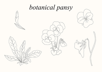 Botanical Pansy - Kostenloses vector #399573