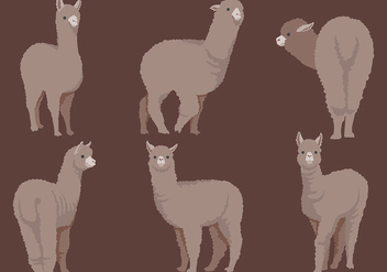 Free Alpaca Icons Vector - Free vector #403033