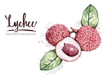 Free Lychee Background - vector gratuit #407333 