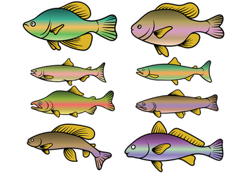 Rainbow Trout Fish Vector - vector gratuit #408583 