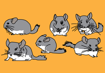 Chinchilla Vector Pack 3 - Free vector #408853