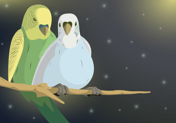 Budgie Couple Vector - Free vector #411113